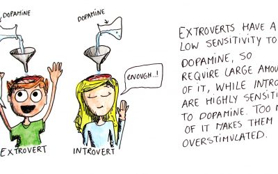 How Understanding the differences between Extroverts and Introverts can help resolve relatioal conflicts