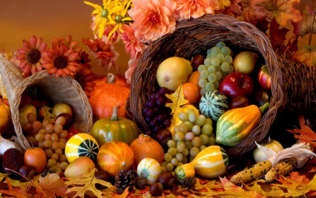 Tips for Living in a Disordered Society: Why, this Year, We Need Thanksgiving More than Ever.